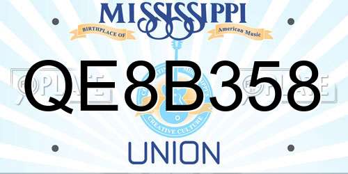 QE8B358 Mississippi License Plate