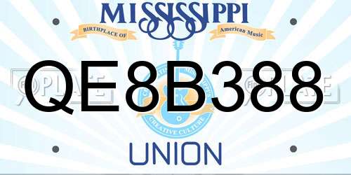 QE8B388 Mississippi License Plate