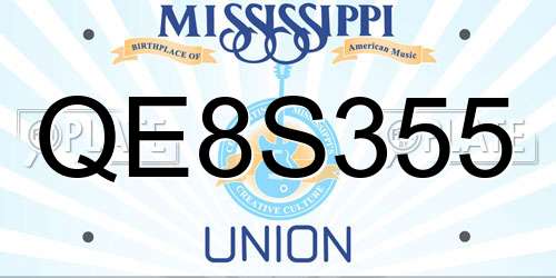 QE8S355 Mississippi License Plate