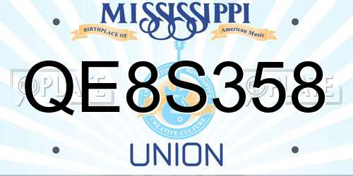 QE8S358 Mississippi License Plate