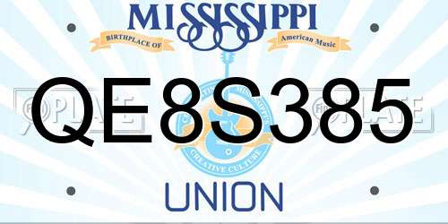 QE8S385 Mississippi License Plate