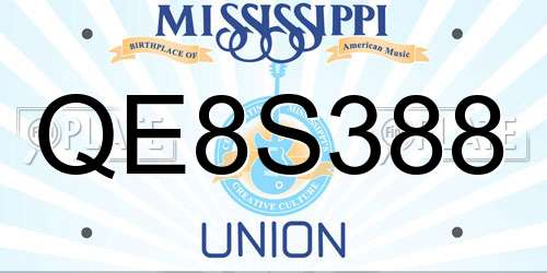 QE8S388 Mississippi License Plate