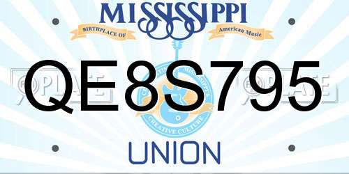 QE8S795 Mississippi License Plate