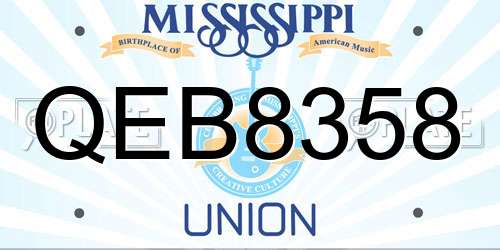 QEB8358 Mississippi License Plate
