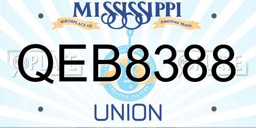 QEB8388 Mississippi License Plate