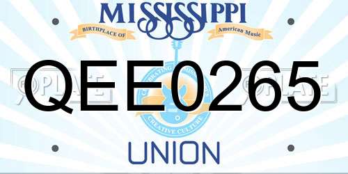 QEE0265 Mississippi License Plate