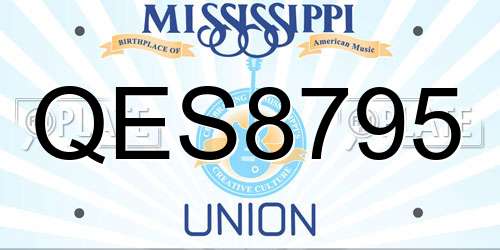 QES8795 Mississippi License Plate