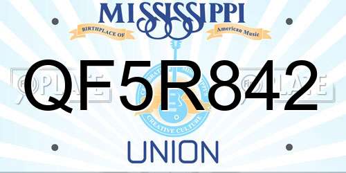 QF5R842 Mississippi License Plate