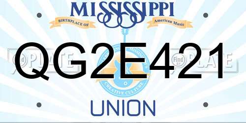QG2E421 Mississippi License Plate