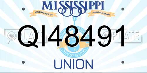 QI48491 Mississippi License Plate