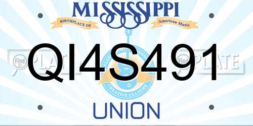 QI4S491 Mississippi License Plate