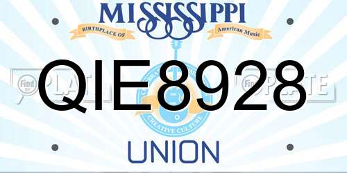 QIE8928 Mississippi License Plate