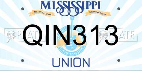 QIN313 Mississippi License Plate