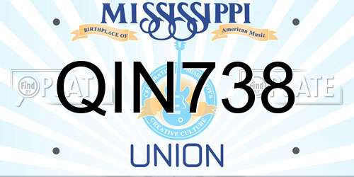 QIN738 Mississippi License Plate