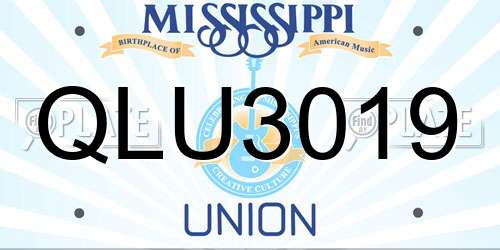 QLU3019 Mississippi License Plate