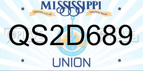 QS2D689 Mississippi License Plate