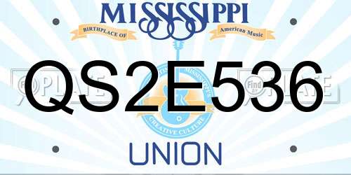 QS2E536 Mississippi License Plate