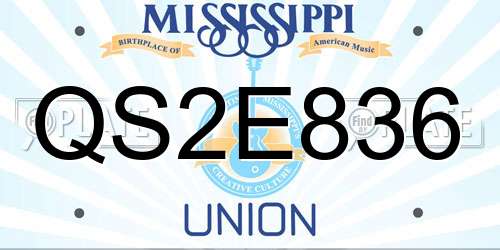 QS2E836 Mississippi License Plate