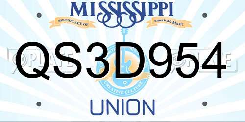 QS3D954 Mississippi License Plate