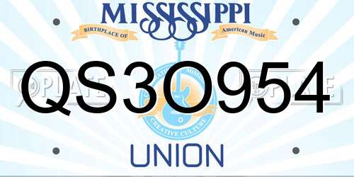 QS3O954 Mississippi License Plate