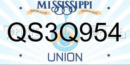 QS3Q954 Mississippi License Plate