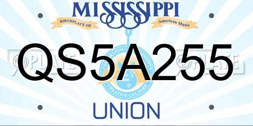 QS5A255 Mississippi License Plate