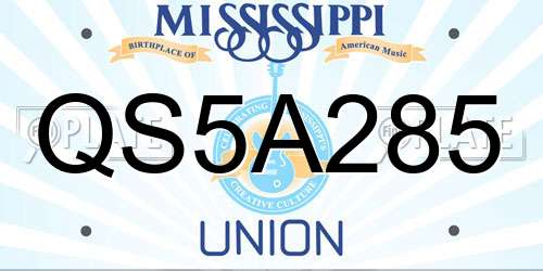 QS5A285 Mississippi License Plate