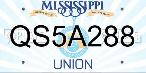QS5A288 Mississippi License Plate