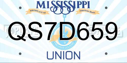 QS7D659 Mississippi License Plate
