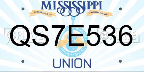 QS7E536 Mississippi License Plate