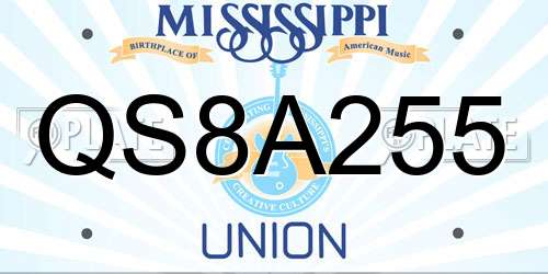 QS8A255 Mississippi License Plate