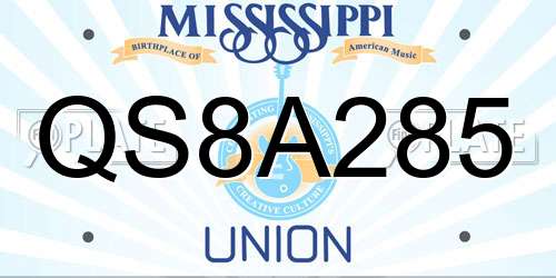 QS8A285 Mississippi License Plate