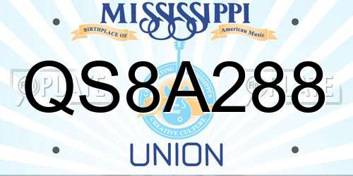 QS8A288 Mississippi License Plate