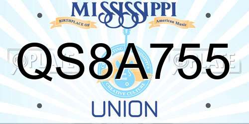 QS8A755 Mississippi License Plate