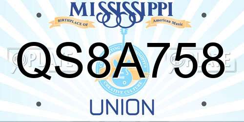 QS8A758 Mississippi License Plate