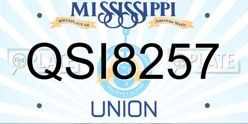 QSI8257 Mississippi License Plate