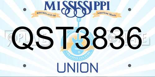 QST3836 Mississippi License Plate
