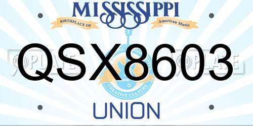 QSX8603 Mississippi License Plate