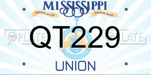 QT229 Mississippi License Plate