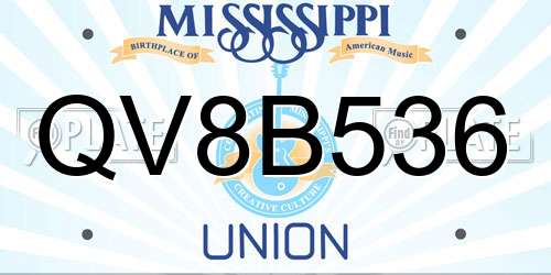 QV8B536 Mississippi License Plate