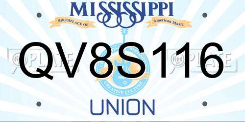 QV8S116 Mississippi License Plate