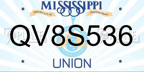 QV8S536 Mississippi License Plate