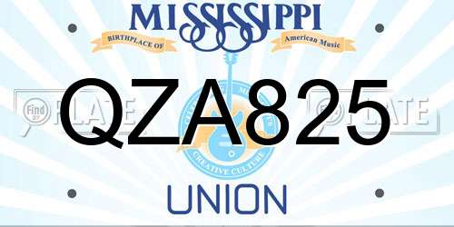 QZA825 Mississippi License Plate