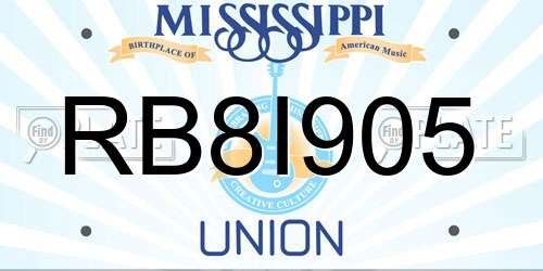RB8I905 Mississippi License Plate