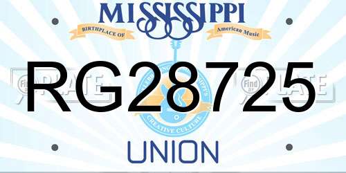RG28725 Mississippi License Plate