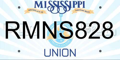 RMNS828 Mississippi License Plate