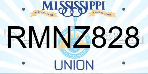 RMNZ828 Mississippi License Plate