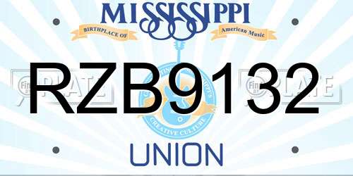 RZB9132 Mississippi License Plate
