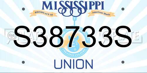 S38733S Mississippi License Plate