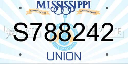 S788242 Mississippi License Plate